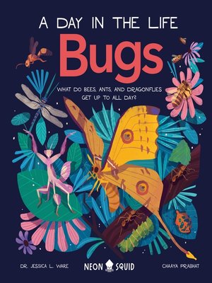 cover image of Bugs (A Day in the Life)